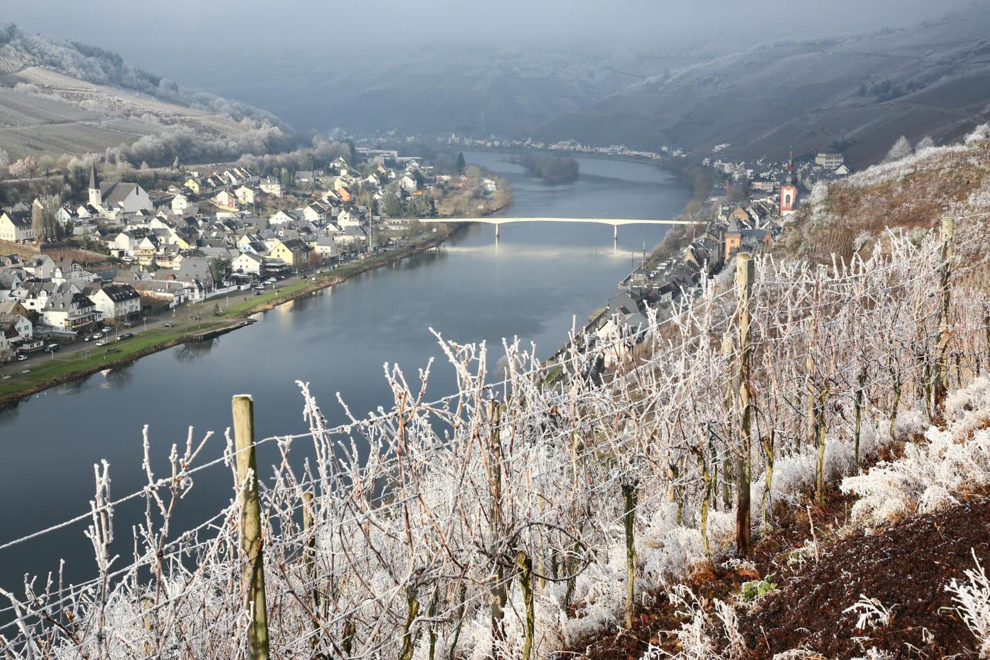 Ferienwohnung Ankerplatz Zell an der Mosel Dış mekan fotoğraf